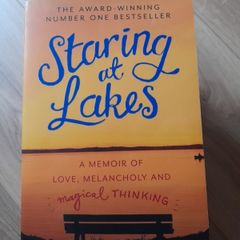 Staring at Lakes, by Michael Harding