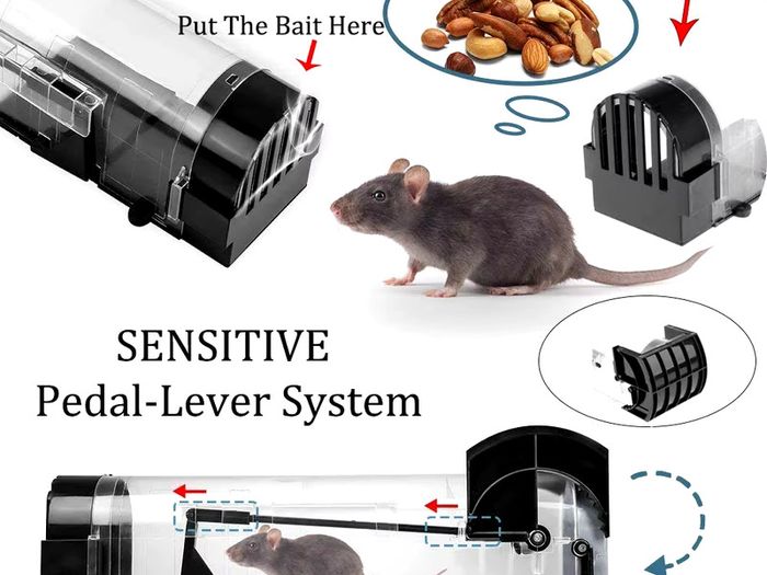 Safe Firm Mice Humane Reusable Plastic Rodents Trap Household Mouse Catcher Smart Self-locking Mousetrap for Indoor Outdoor Garden