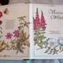 Victorian Wildflowers photo album Image 4