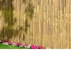 Bamboo screen (new) - half price