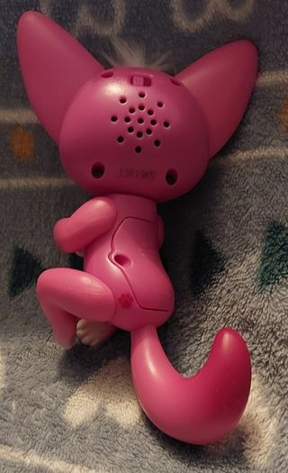 Fingerling ; Kayla 310  (1)