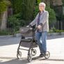 Lett Ride Shopping Trolley / Walker Image 2
