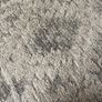Rug Image 2