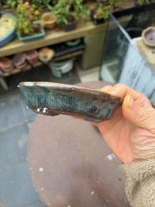bonsai pot