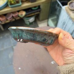 bonsai pot