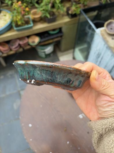 bonsai pot