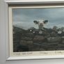 A Framed Print of a Cow by Cassidy Image 2