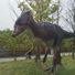 KVis