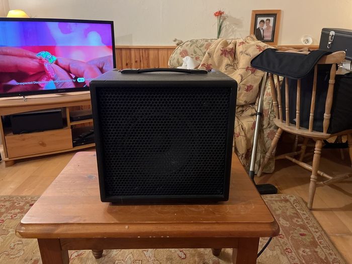 Tangle wood T6 acoustic guitar amp combo