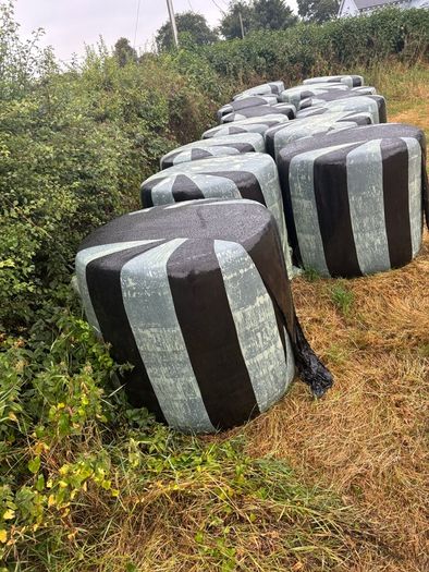 Wrapped Bales