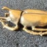 3 brass Insects, solid brass. Image 4