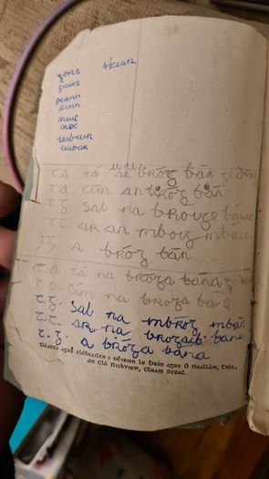 Irish Grammer Book. 1930. Anyone Interest. Make An Offer.