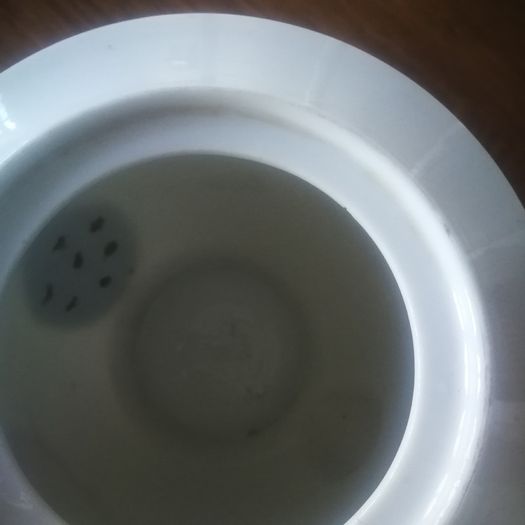 Teapot