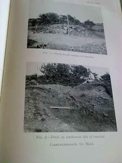 Journal of the Royal Society of Antiquaries of Ireland 1935