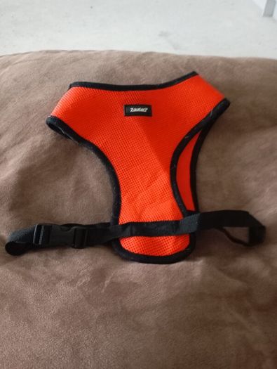 dog harness