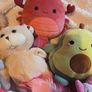 teddies Image 3
