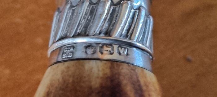 Impressive horn handled sterling silver crumbscoop