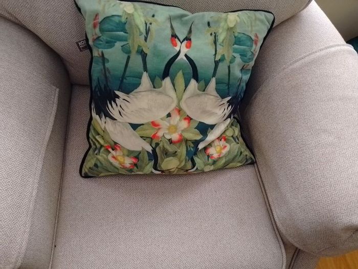 2 scatterbox cushions