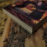 Warcraft Legends ! First 2 Volumes ! Manga ! 2008 ! by Tokyopop ! Image 7