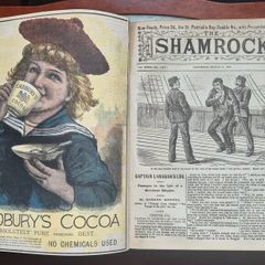 The SHAMROCK. 51 editions. National Magazine of Ireland News politics Illustrated. 1892. Rare antique book, novel.