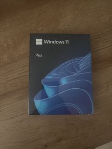 windows 11 pro