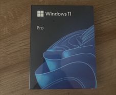 windows 11 pro