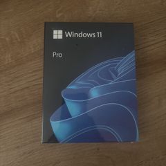 windows 11 pro