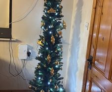 christmas tree