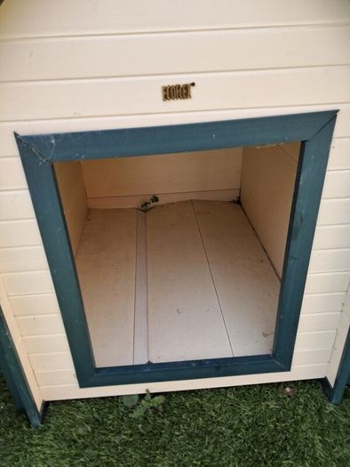 Large Dog Kennel
