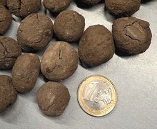Aquarium Clay-peat balls