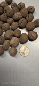 Aquarium Clay-peat balls 20 pieces