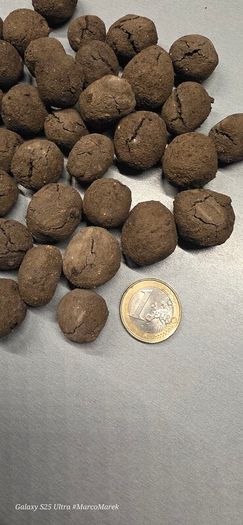 Aquarium Clay-peat balls 20 pieces