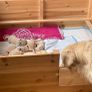 Whelping Box Image 4