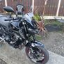 yamaha mt09 screen Image 6