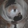 old silver plate chalice Image 7
