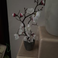 artificial plant