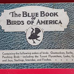 The Blue Book of Birds of America/ A Bird Guide/ 1931