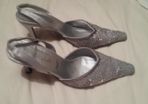 Silver Shies