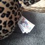 Leopard  squishmallow Image 4