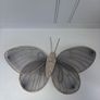 Butterfly wings Image 4