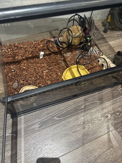 40 Gallon Exo Terra Enclosure