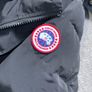 canada goose Image 4