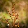 Canon 5D Classic + 28mm f/2.8 Lens Image 10