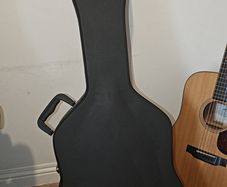 Gator Acoustic