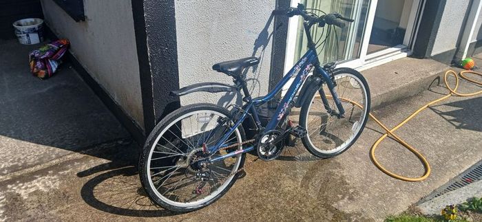 Apollo Kinx 24"