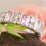 Ring Image 2