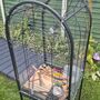 bird cage