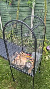 bird cage