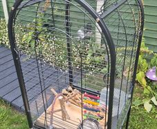 bird cage