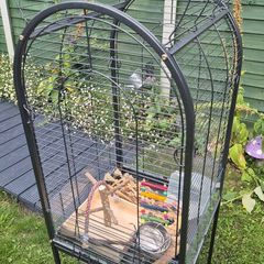 bird cage